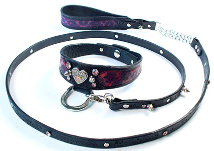 Cheshire Leash and Collar